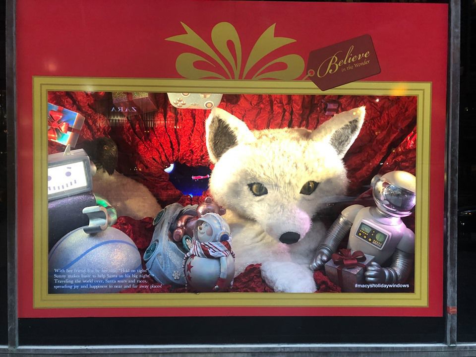 Department store windows at the old Marshall Field's